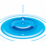 web-121 web-121